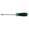 TOPTUL Отвертка Tamperproof Torx FEAB2510, T25